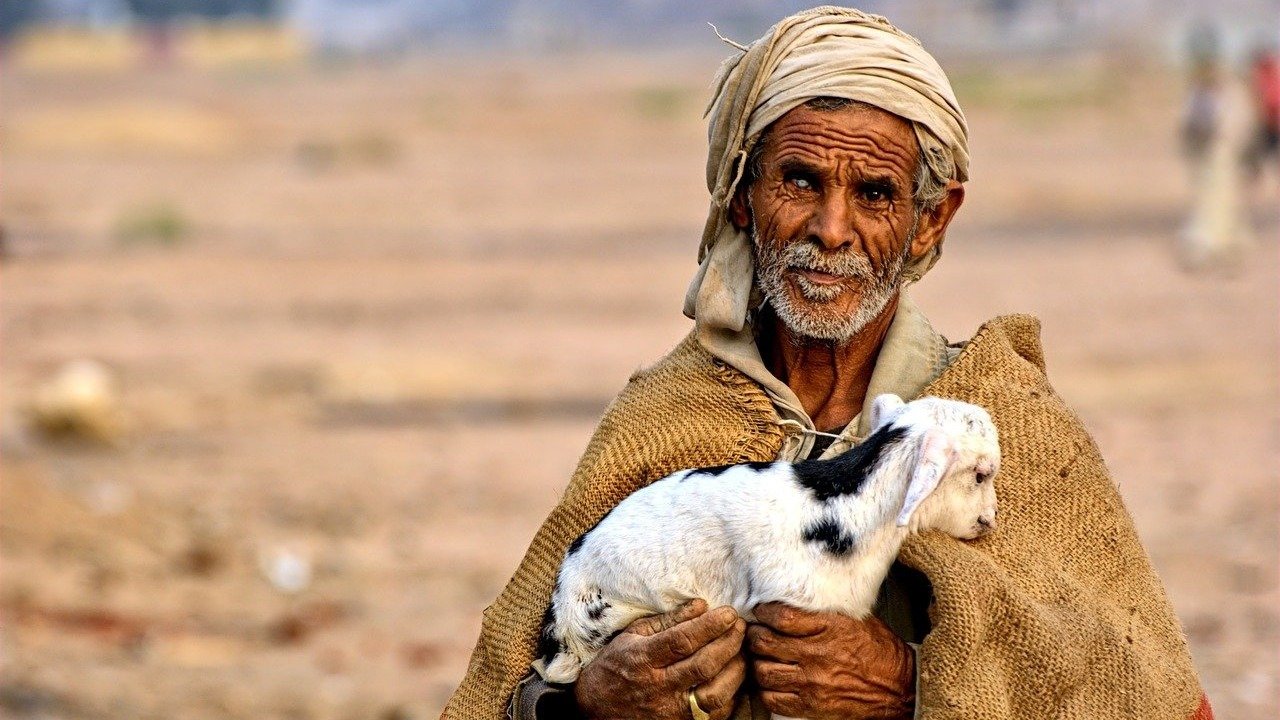 NGO-Mitarbeiter liefern Hilfspakete an Familien, die von der Vertreibung der Beduinen Westjordanland betroffen sind