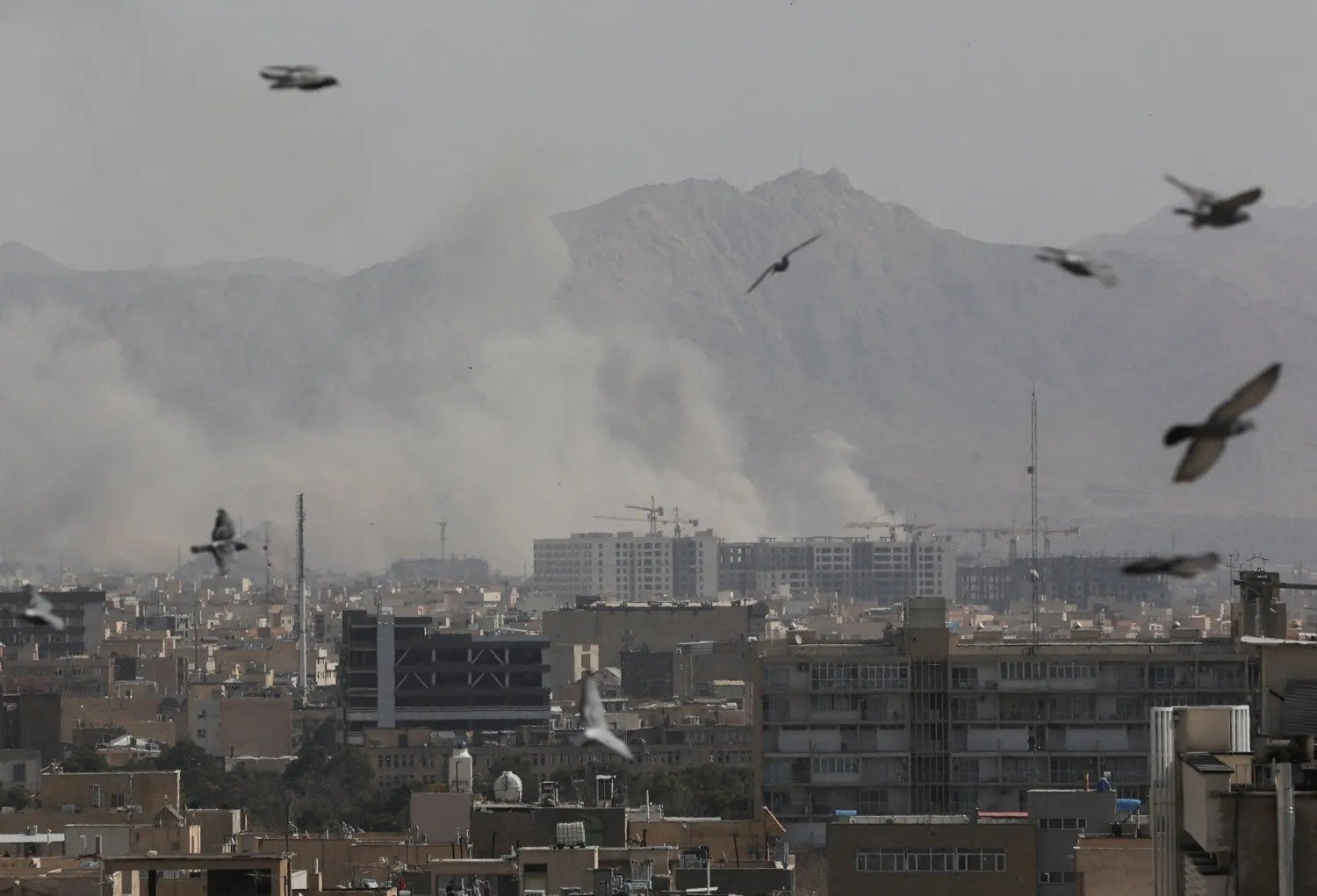 Etihad Maschinen am Rollfeld nachdem der Flugbetrieb eingestellt wurde.