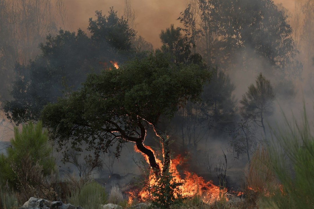 Waldbrände in Spanien