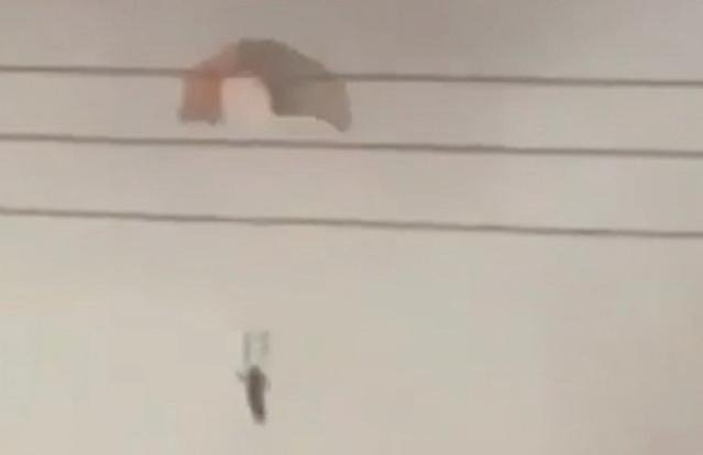 Eine F-15E Strike Eagle vor dem tragischen US Kampfflugzeug Verlust