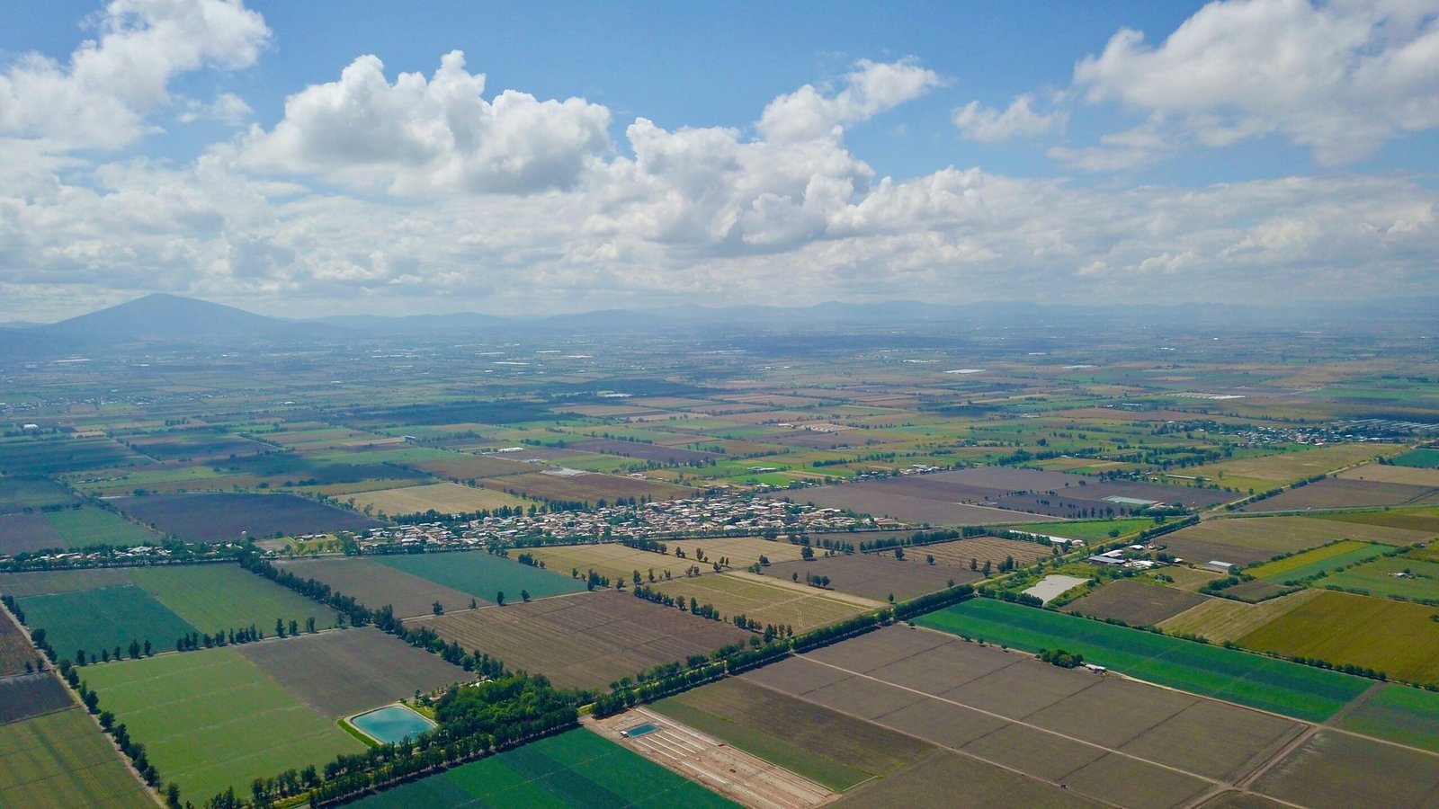 Traktor bei der Aussaat auf dem Feld dank neuer Beihilfen für Landwirte.
