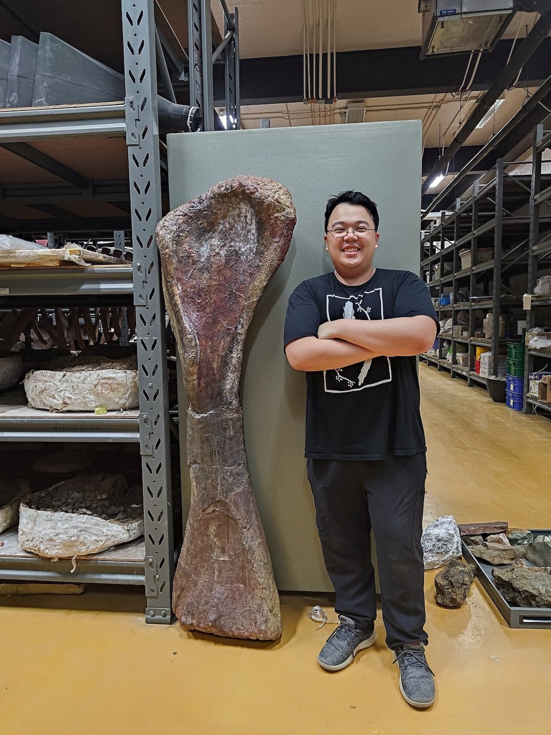 Forscher graben einen riesigen Dinosaurier in Thailand aus