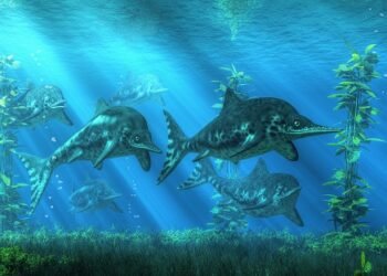 Der Fischsaurier weist eine Größe von 10 Metern auf