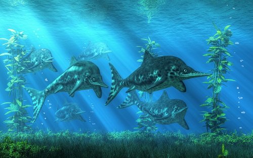 180 Millionen Jahre altes Fossil gefunden - Der Fischsaurier weist eine Größe von 10 Metern auf