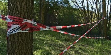 Bäume schreiben Kriminalgeschichte