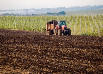 Düngemittel Preissteigerung