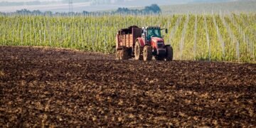 Düngemittel Preissteigerung