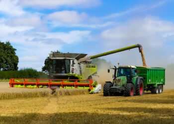 Getreidepreise explodieren