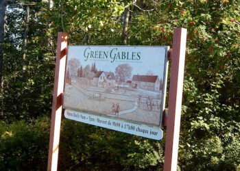 Lucy Maud Montgomerys Anne mit einem E