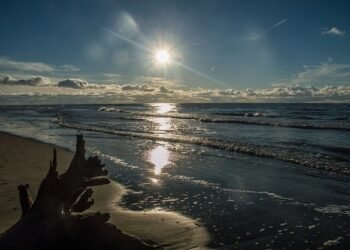 Meer, Sand und Strandgut