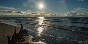 Meer, Sand und Strandgut