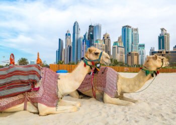 Russische Oligarchen