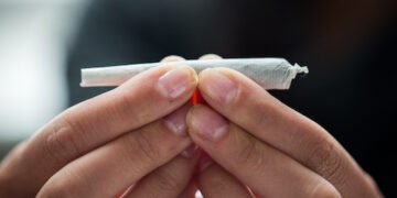 Cannabis Legalisierung in Deutschland?