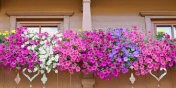 Schiebe nie etwas auf