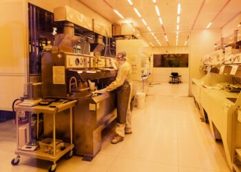 Gigantisches Bakterium entdeckt