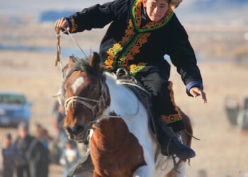 Mongolei Auswandern