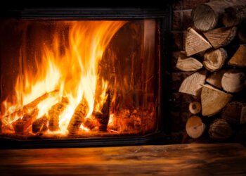 Preise für Brennholz steigen stark an