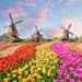 Holland zum ersten Mal