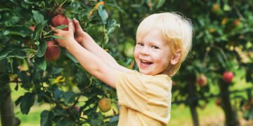 Obst kostenlos ernten