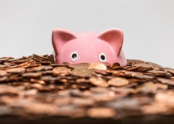 Sinking Funds planvolles sparen