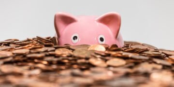 Sinking Funds planvolles sparen