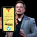 Will Elon Musk als CEO von Twitter zurücktreten