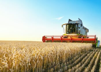 Kunden kaufen weniger teure Bio-Lebensmittel