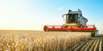 Kunden kaufen weniger teure Bio-Lebensmittel