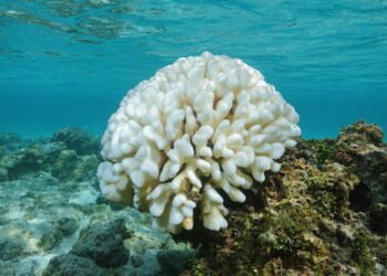 Wetterphänomen El Niño