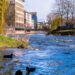 Klingel Insolvenz