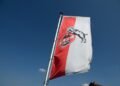 FC Köln und Baumgart