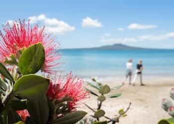 Warme Weihnachten in Neuseeland