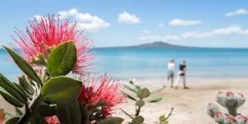 Warme Weihnachten in Neuseeland