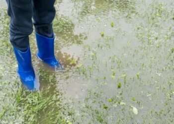 Hochwasser im Garten