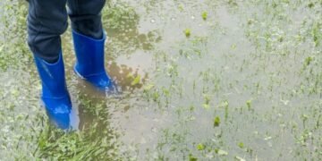 Hochwasser im Garten