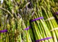 Spargelsaison frühzeitig zu Ende?