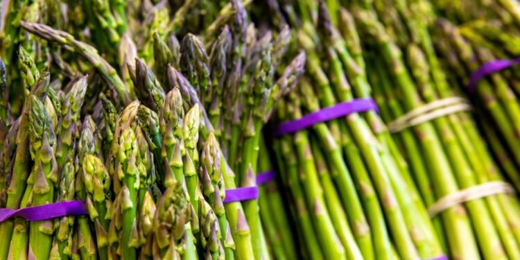 Spargelsaison frühzeitig zu Ende?