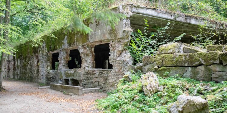 Attentat auf Hitler 20. Juli 1944