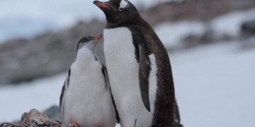 Historischer Flug über den Südpol