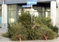 Weihnachtsbaum entsorgen