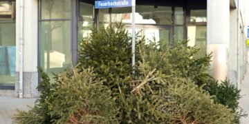Weihnachtsbaum entsorgen