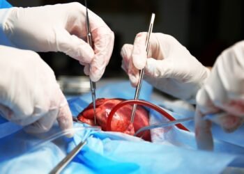 DDR-Arzt selbstgebaute Herz-Lungen-Maschine