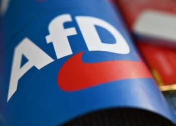 Verfassungsschutz setzt AfD-Einstufung aus