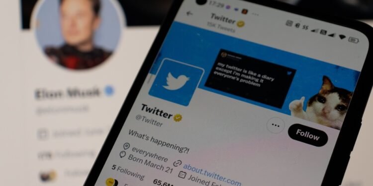 Elon Musk Amerika-Partei