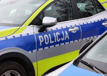 Militärdrohne in Polen abgestürzt