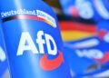 Proteste gegen AfD-Treffen