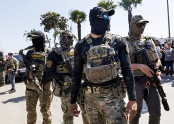 Klagen gegen ICE-Agenten im Zusammenhang mit dem US-Rechtssystem