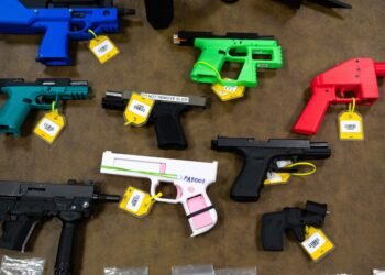 Illegale digitale Baupläne für Schusswaffen sollen unter das EU-Waffenverbot fallen.