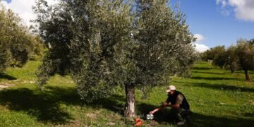 Workers implementing digital systems in a European office, part of Europas Wiederaufbaufonds initiatives