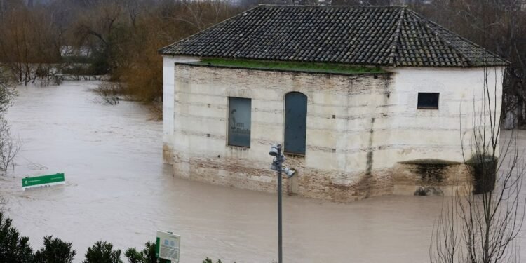 Von Wassermassen zerstörte Gemüsefelder in Andalusien nach dem Durchzug von Sturm Marta